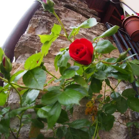 Casa Antico Borgo *
